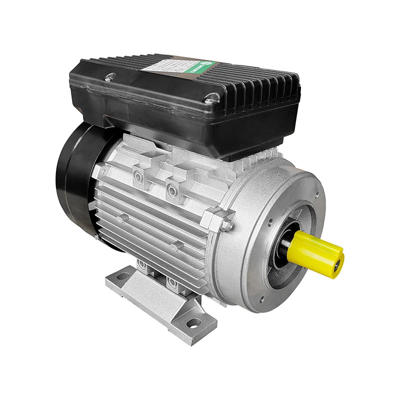 120V AC Motor